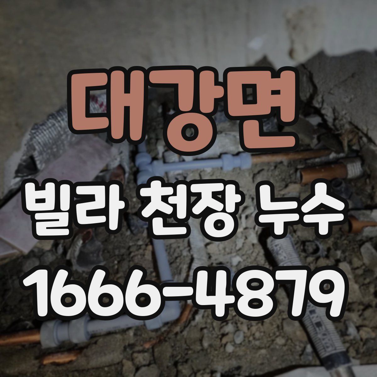 대강면 빌라 천장 누수