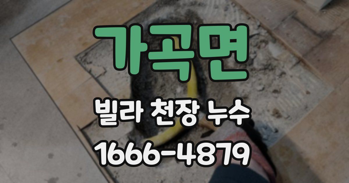 가곡면 빌라 천장 누수