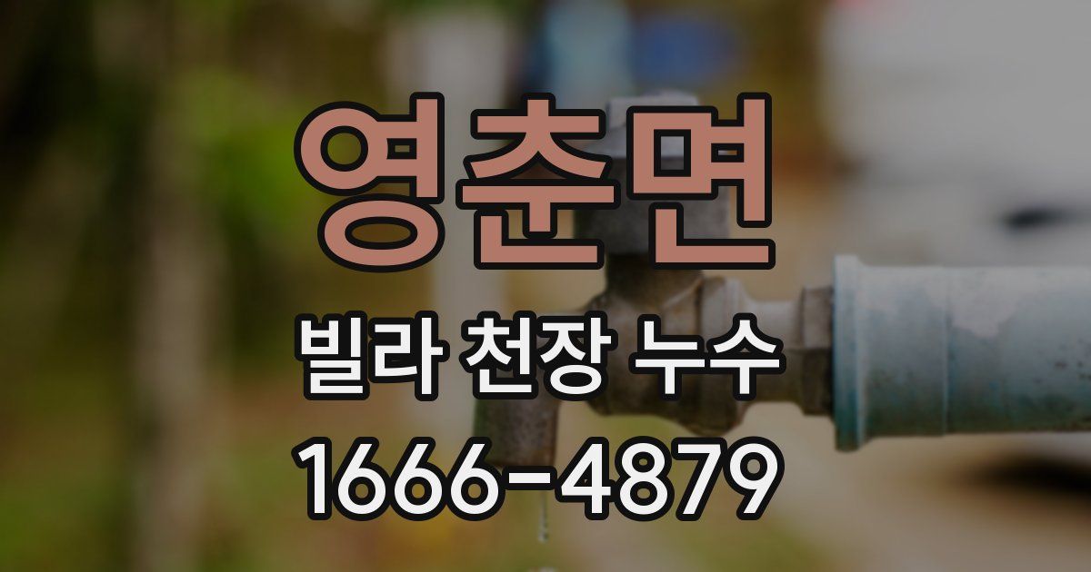 영춘면 빌라 천장 누수