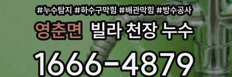 영춘면 빌라 천장 누수