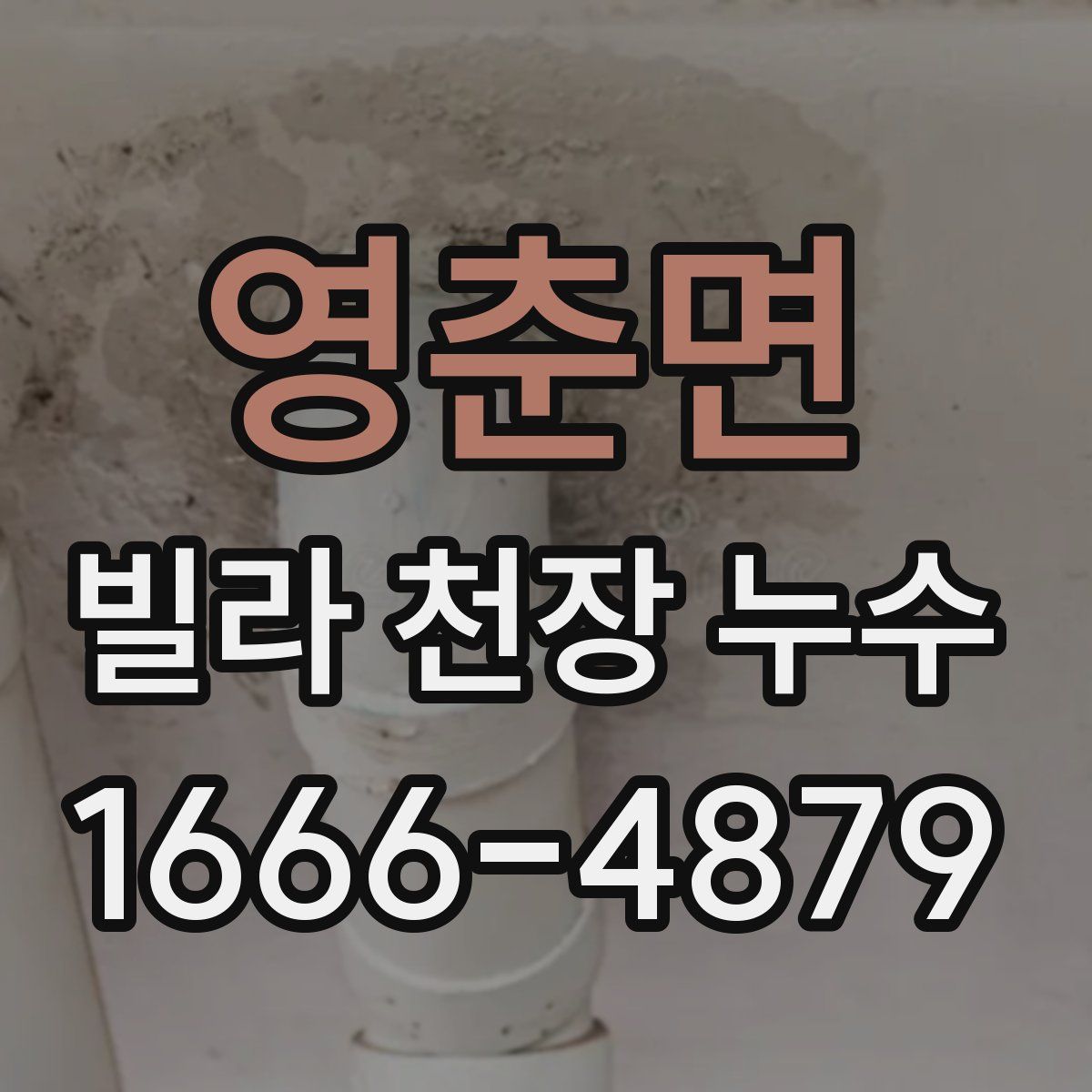 영춘면 빌라 천장 누수