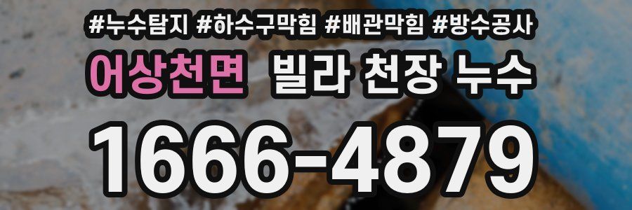 어상천면 빌라 천장 누수