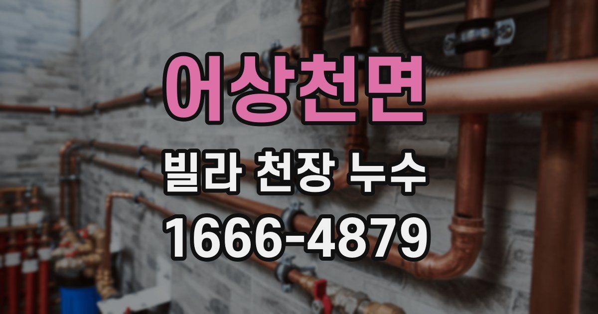 어상천면 빌라 천장 누수