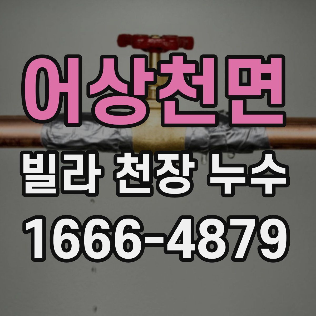 어상천면 빌라 천장 누수