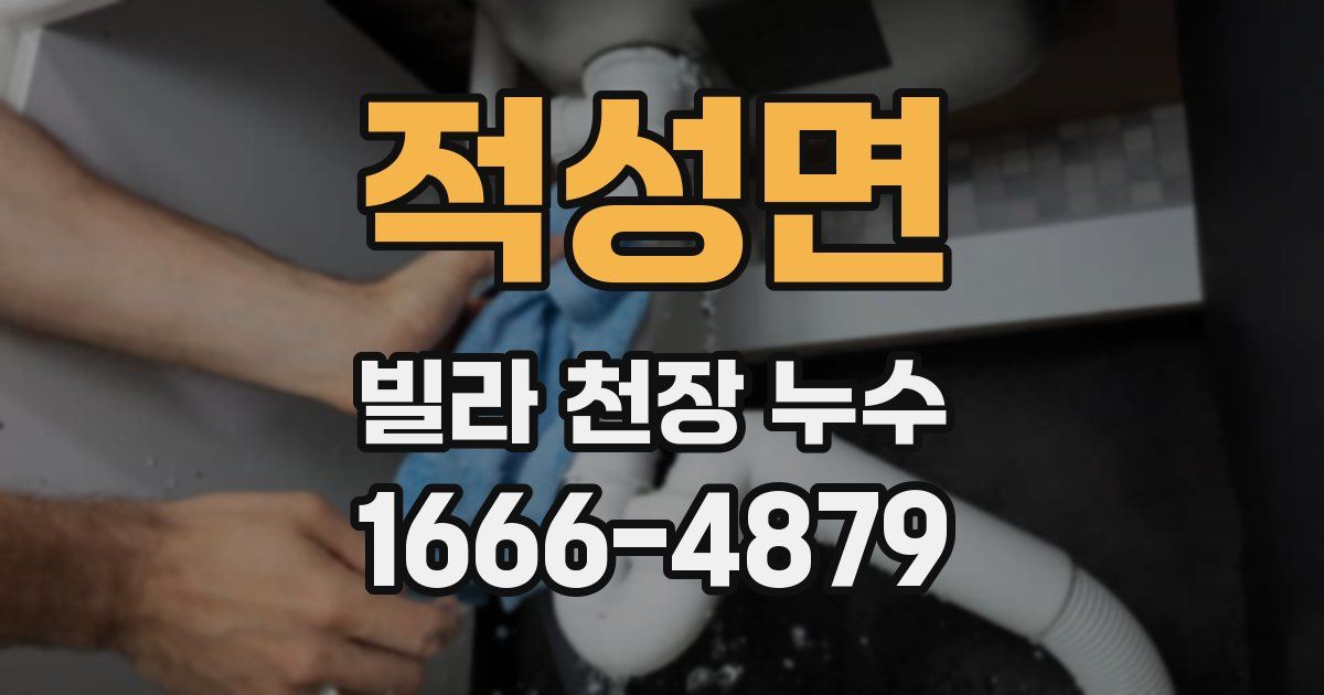 적성면 빌라 천장 누수
