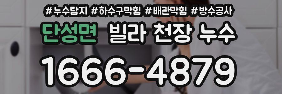 단성면 빌라 천장 누수