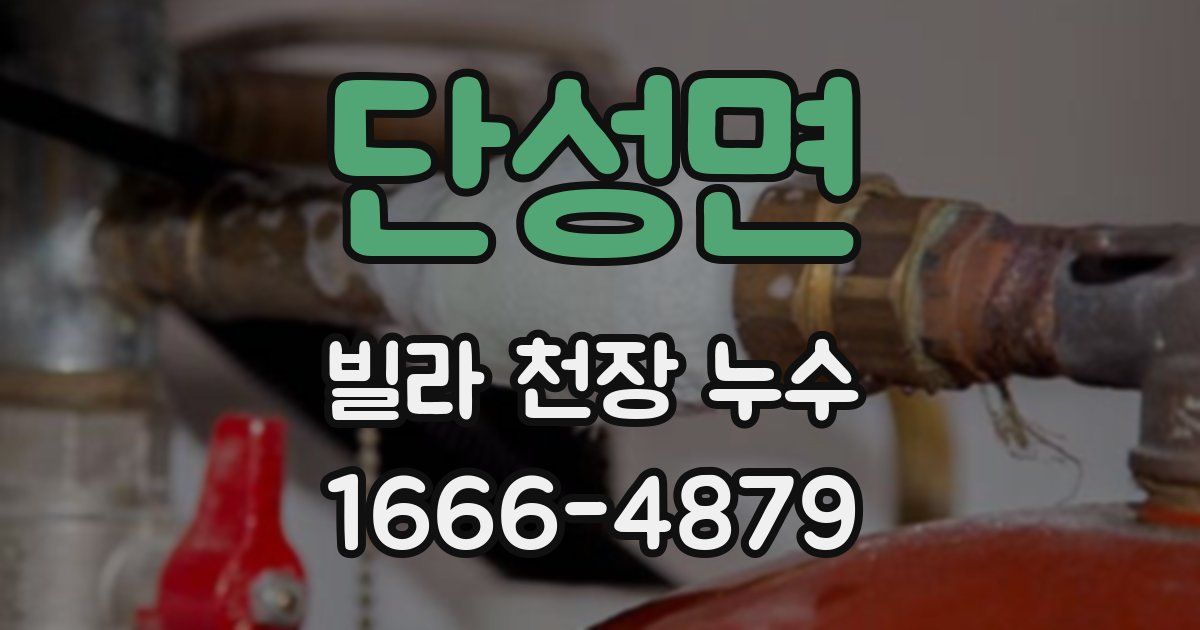단성면 빌라 천장 누수