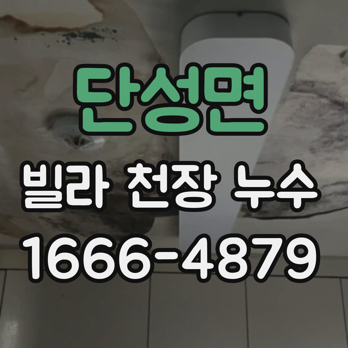 단성면 빌라 천장 누수