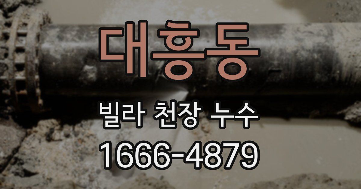 대흥동 빌라 천장 누수