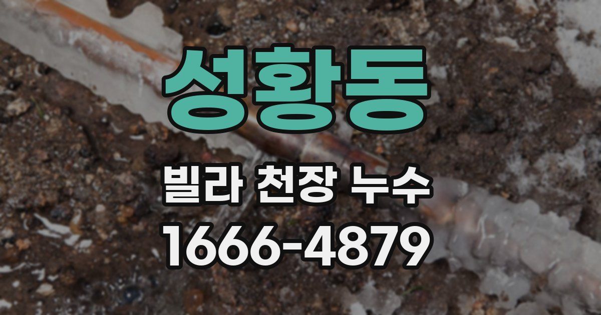 성황동 빌라 천장 누수