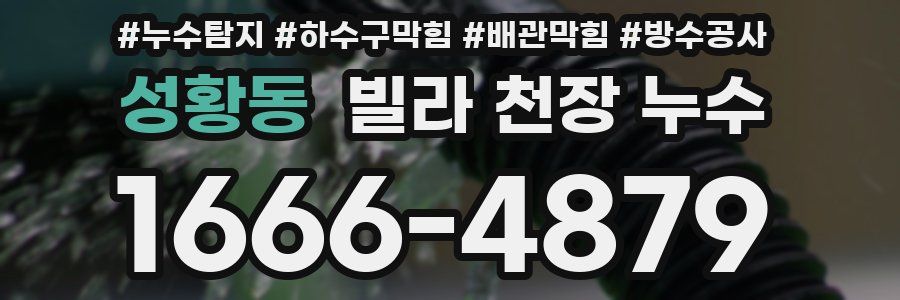 성황동 빌라 천장 누수