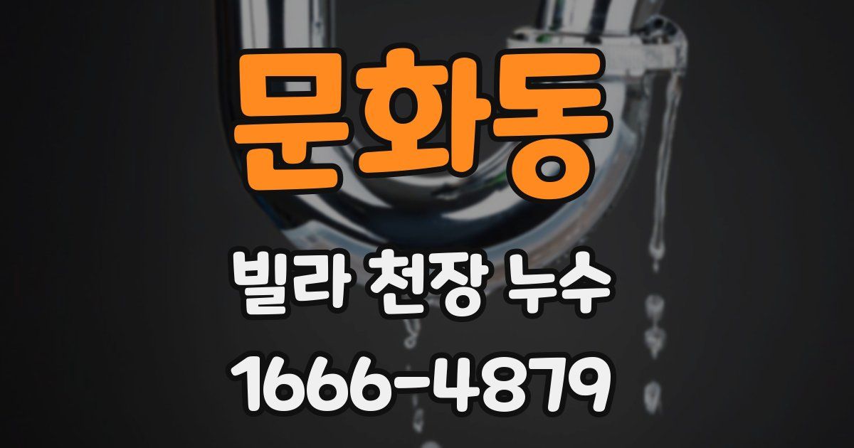 문화동 빌라 천장 누수