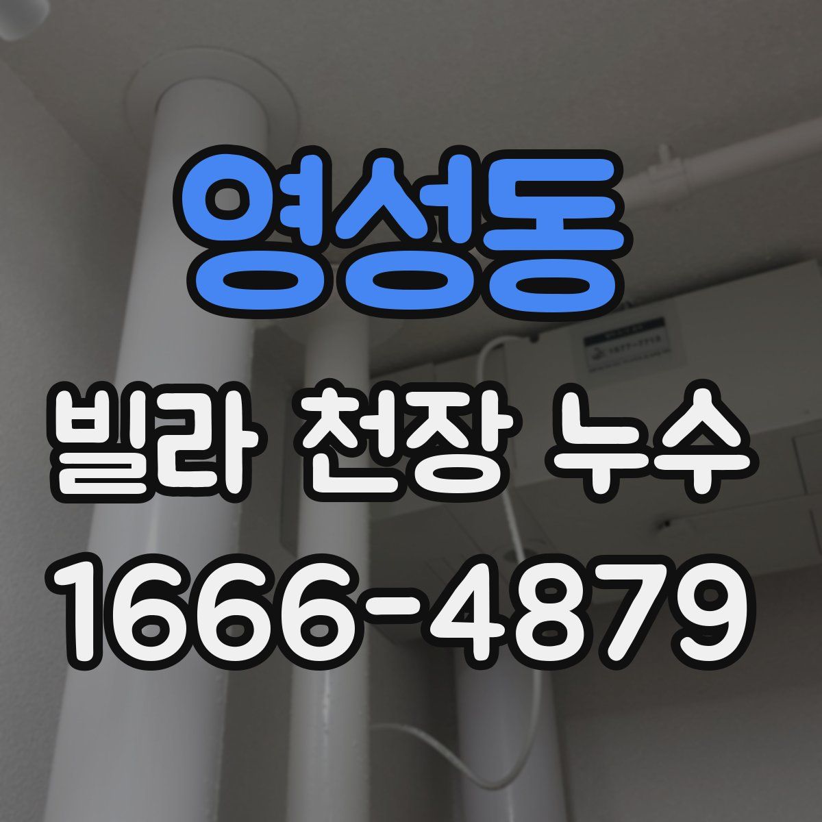 영성동 빌라 천장 누수