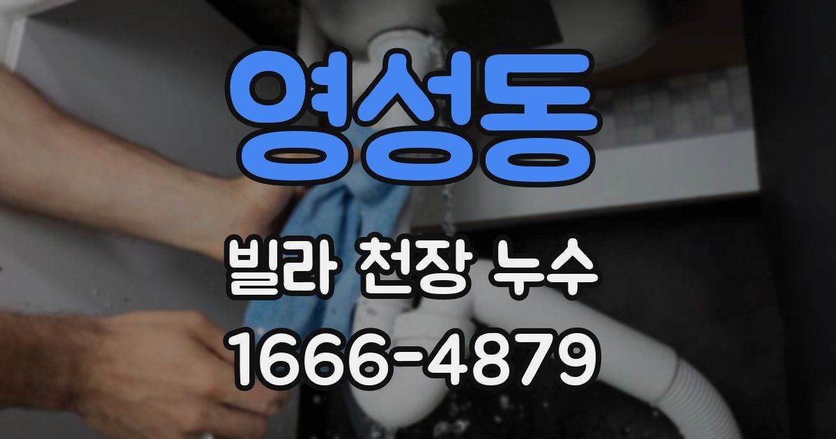 영성동 빌라 천장 누수