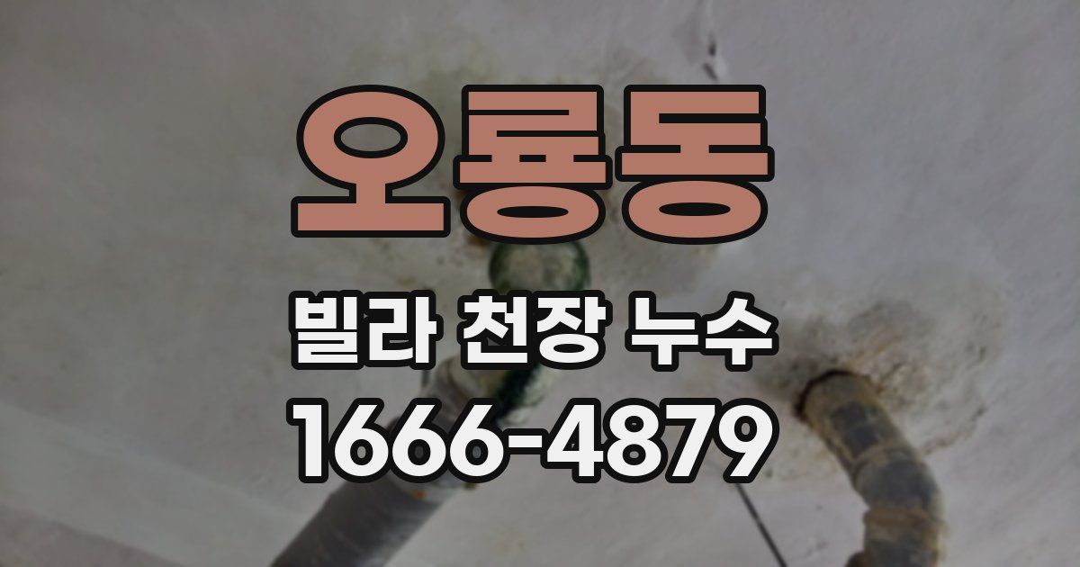 오룡동 빌라 천장 누수