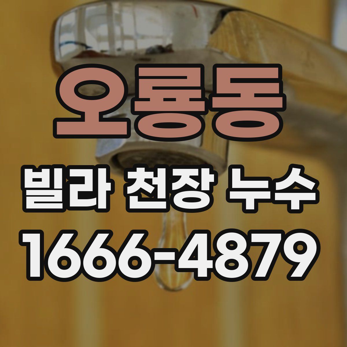 오룡동 빌라 천장 누수