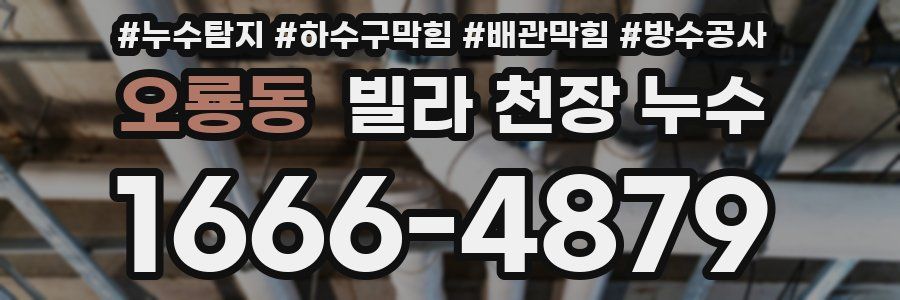 오룡동 빌라 천장 누수