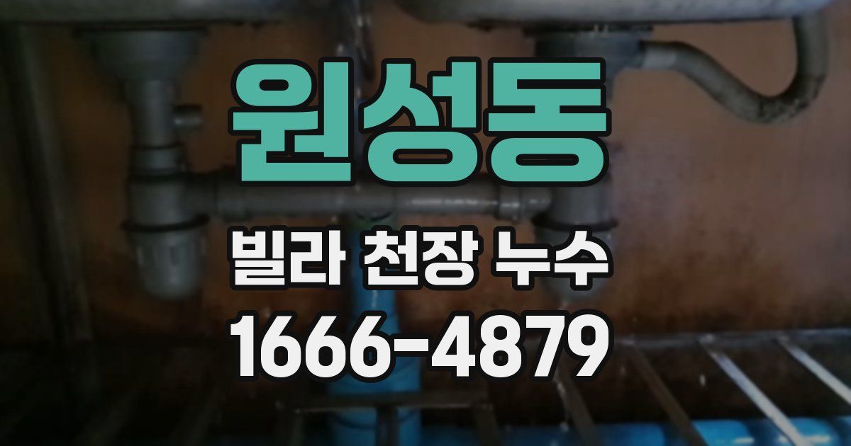 원성동 빌라 천장 누수