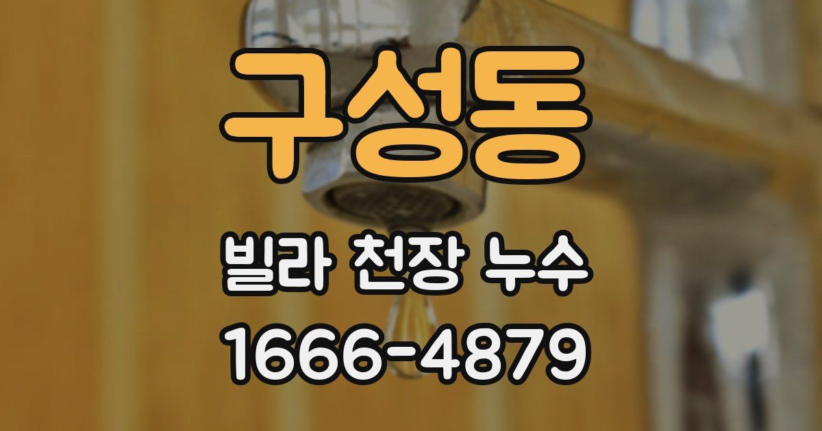 구성동 빌라 천장 누수