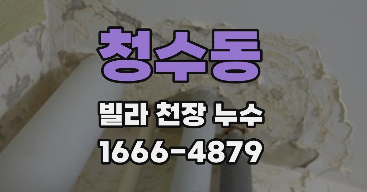 청수동 빌라 천장 누수