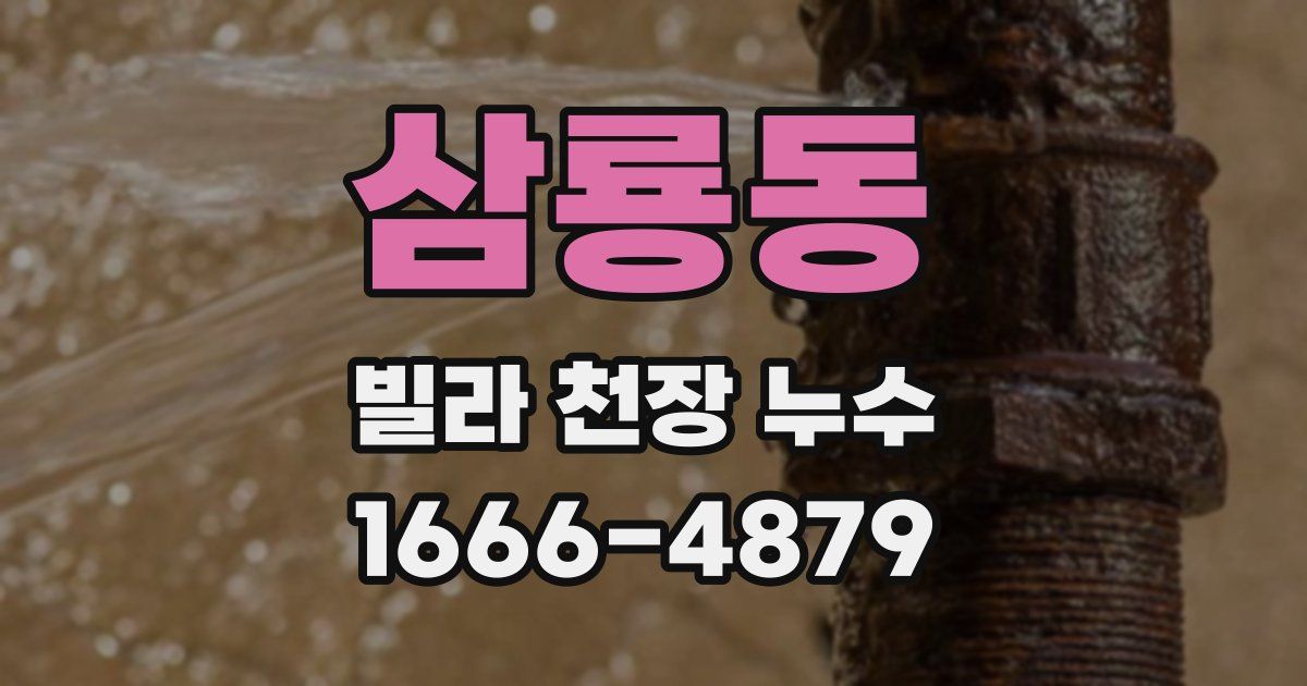 삼룡동 빌라 천장 누수