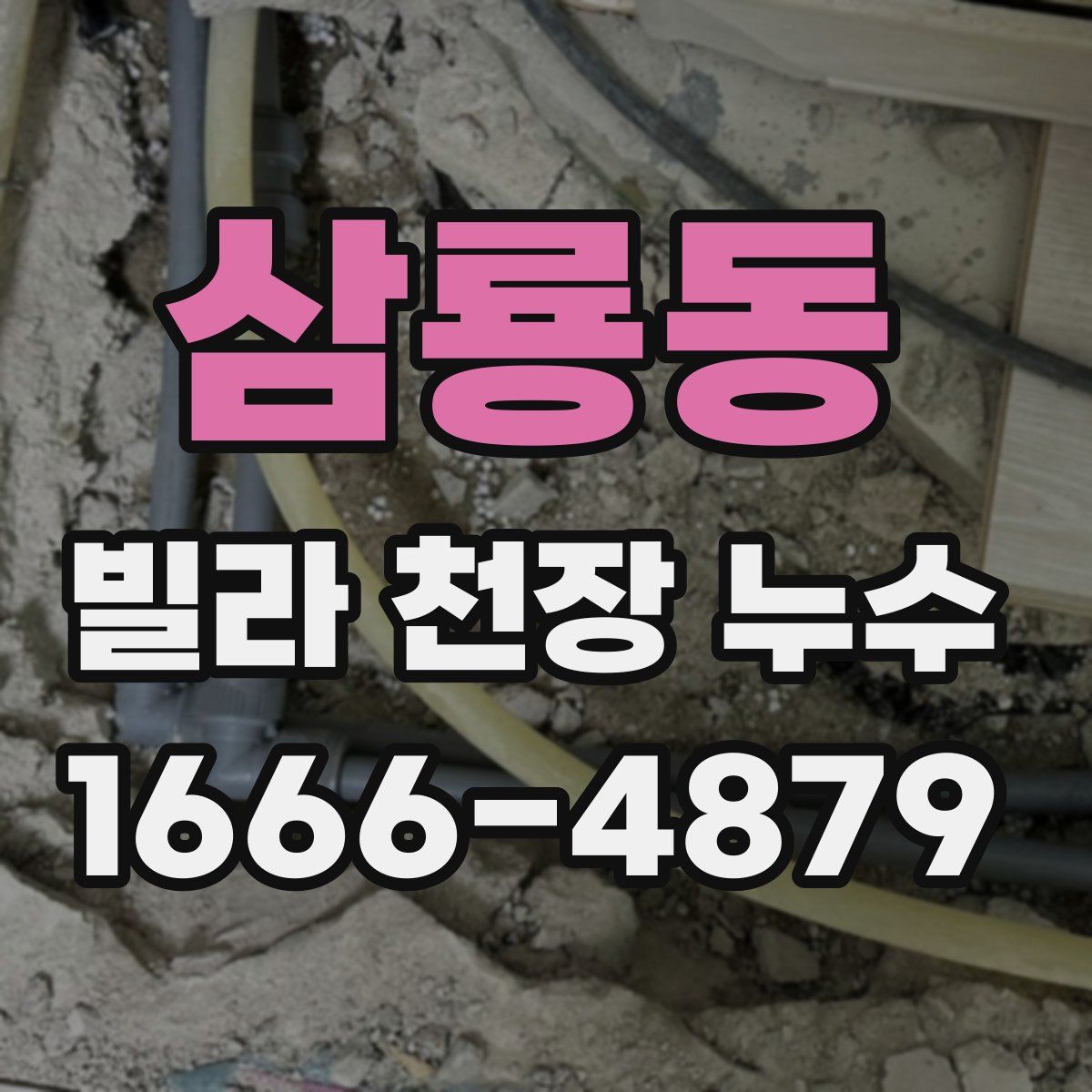 삼룡동 빌라 천장 누수