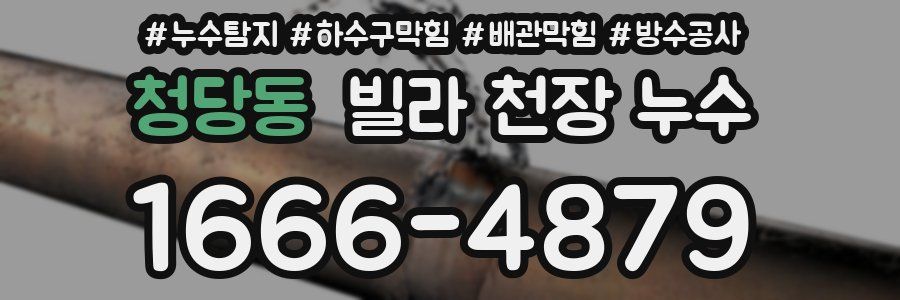청당동 빌라 천장 누수