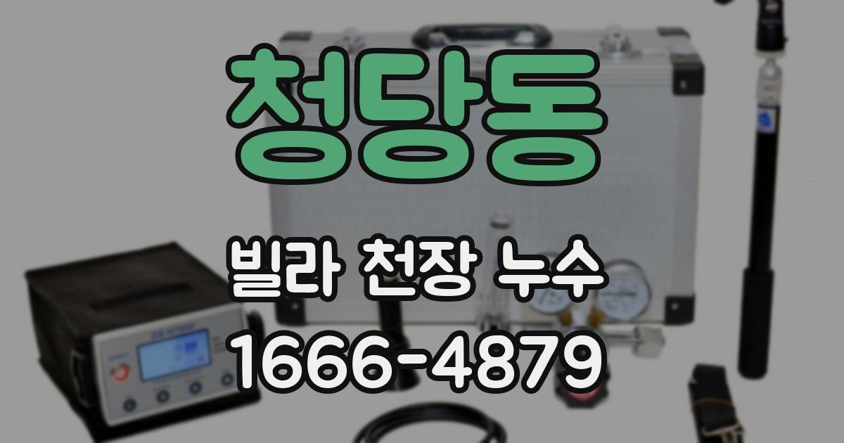 청당동 빌라 천장 누수