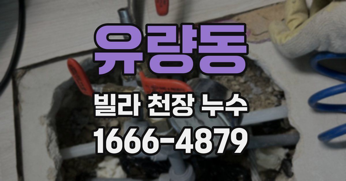 유량동 빌라 천장 누수