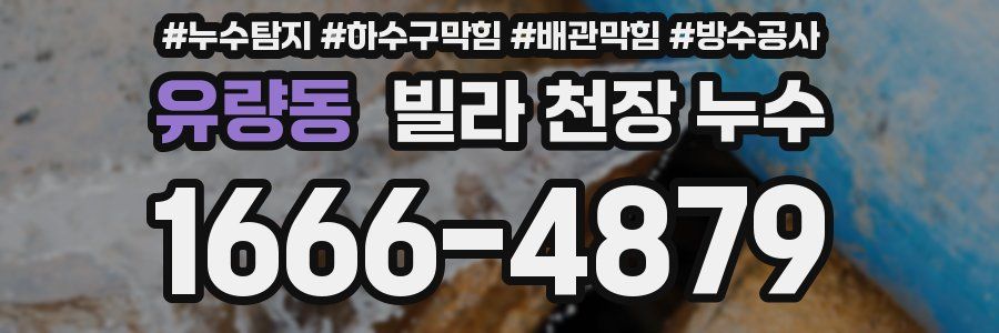 유량동 빌라 천장 누수