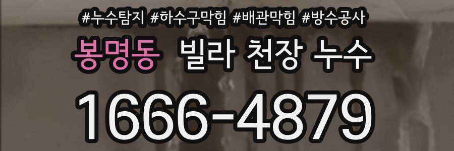 봉명동 빌라 천장 누수