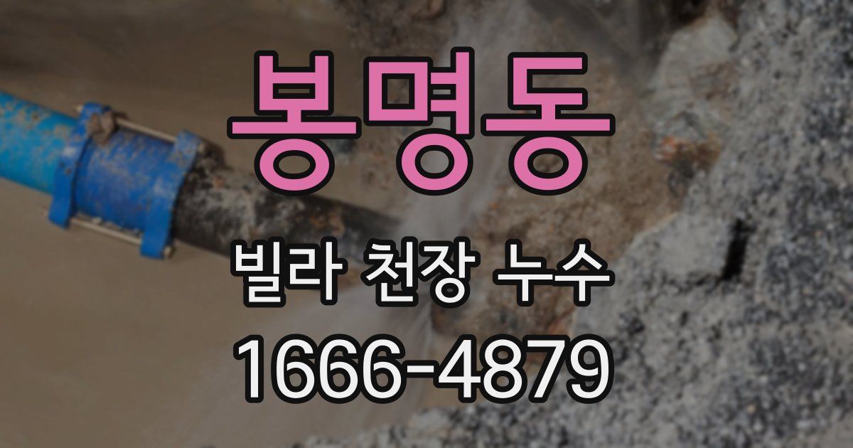 봉명동 빌라 천장 누수