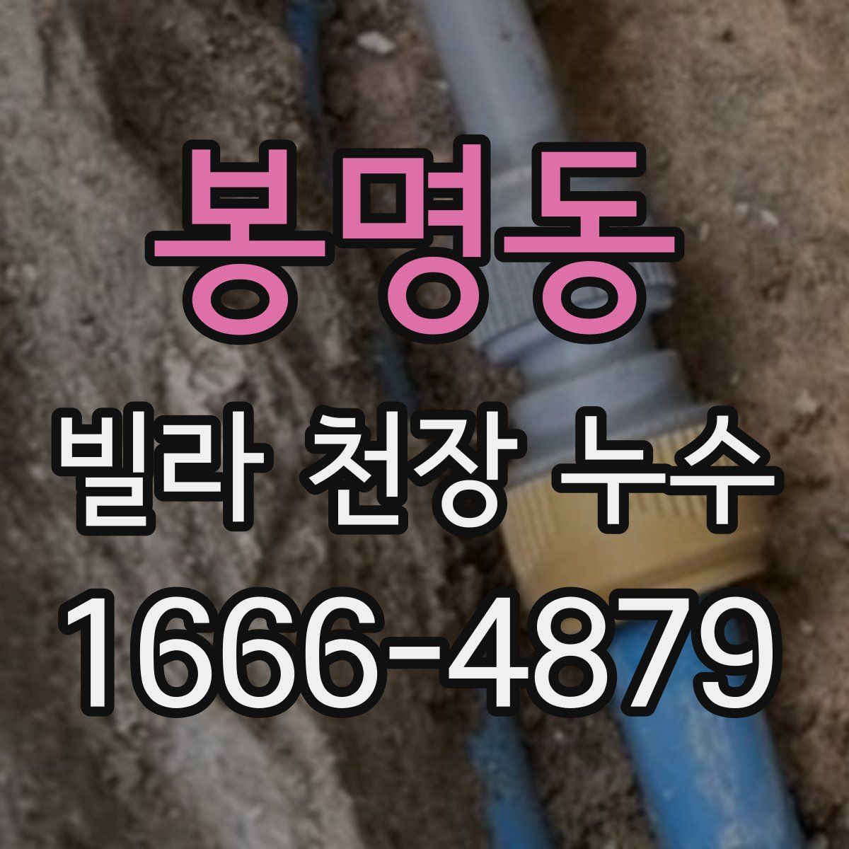 봉명동 빌라 천장 누수