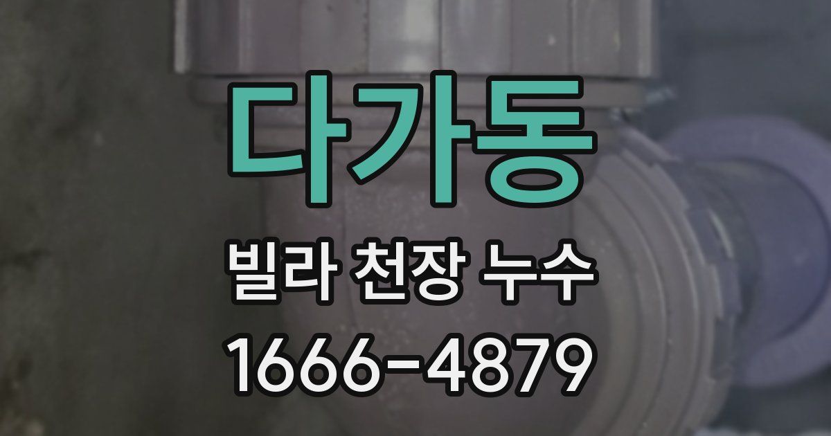다가동 빌라 천장 누수