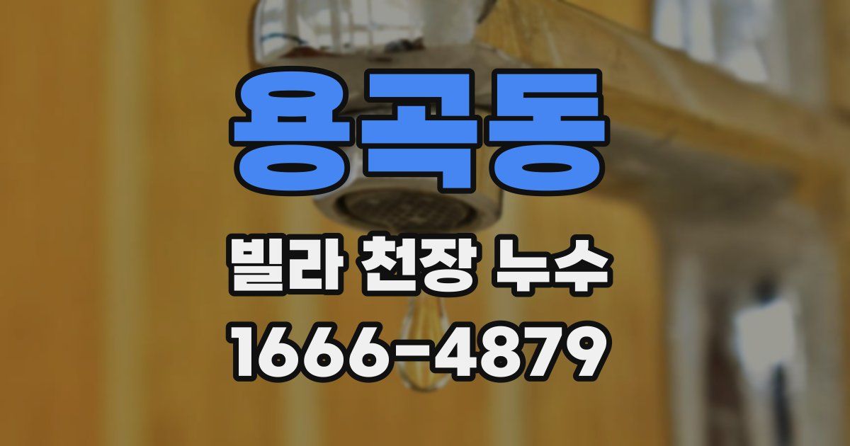 용곡동 빌라 천장 누수