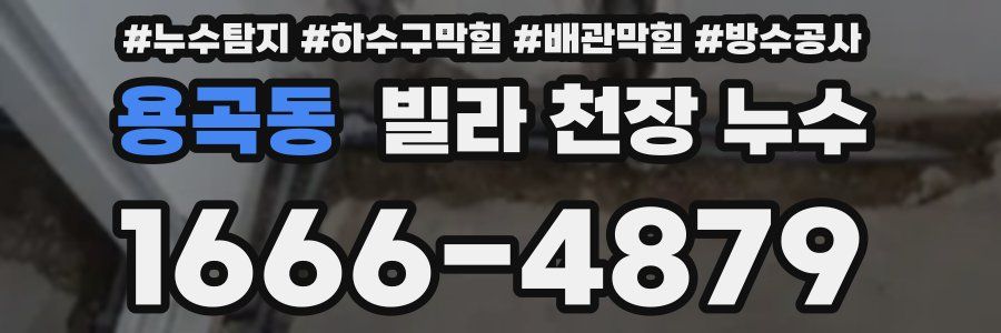 용곡동 빌라 천장 누수
