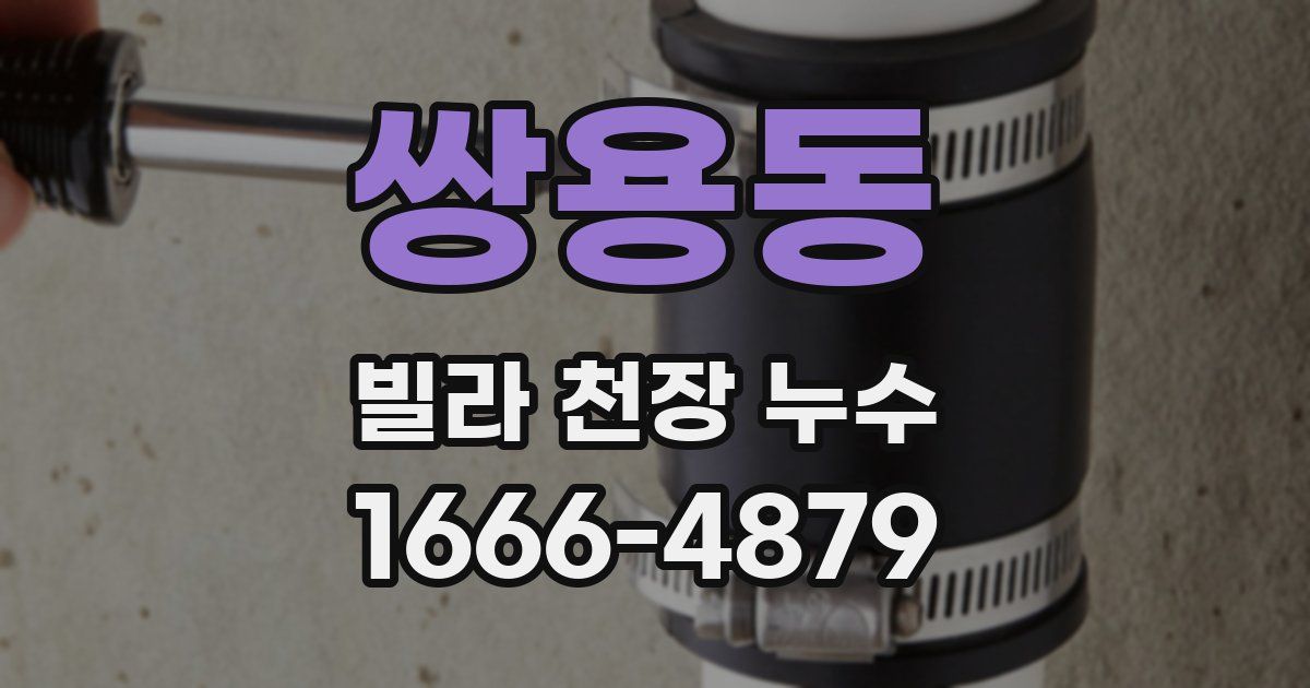 쌍용동 빌라 천장 누수