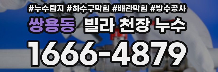 쌍용동 빌라 천장 누수