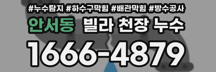 안서동 빌라 천장 누수