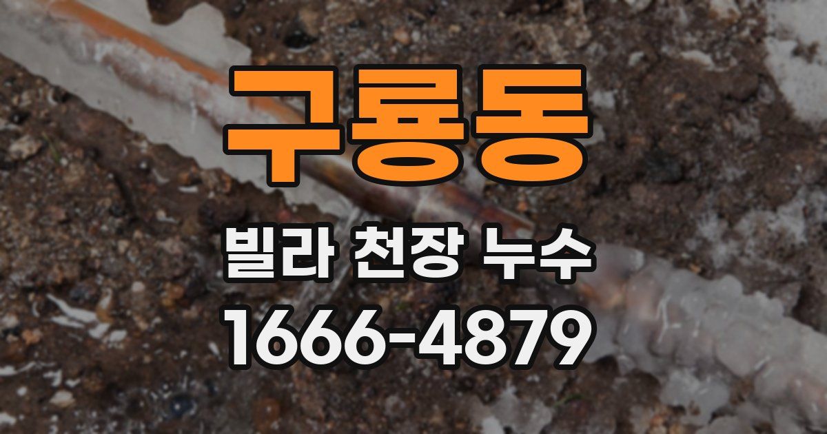 구룡동 빌라 천장 누수