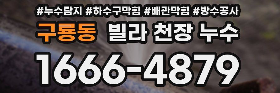 구룡동 빌라 천장 누수