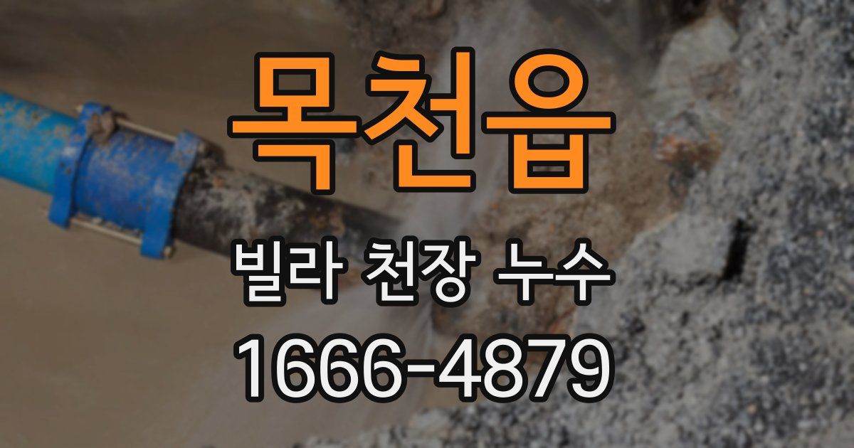 목천읍 빌라 천장 누수