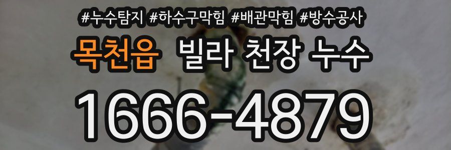 목천읍 빌라 천장 누수