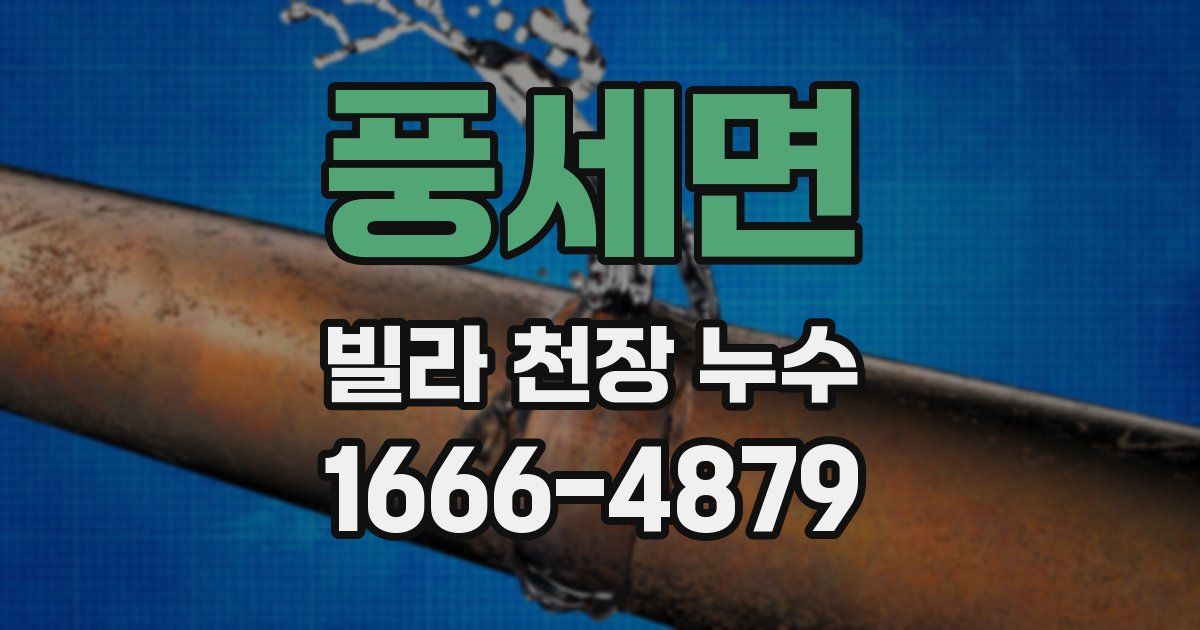 풍세면 빌라 천장 누수