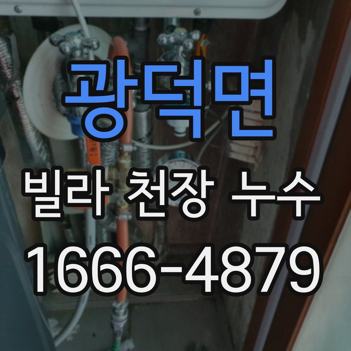 광덕면 빌라 천장 누수