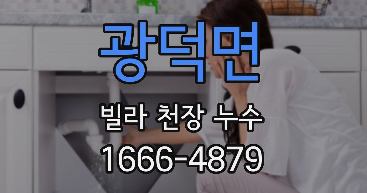 광덕면 빌라 천장 누수