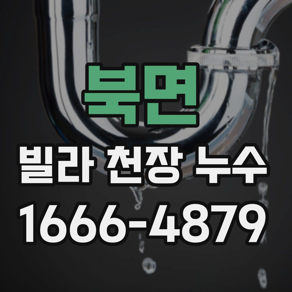 북면 빌라 천장 누수