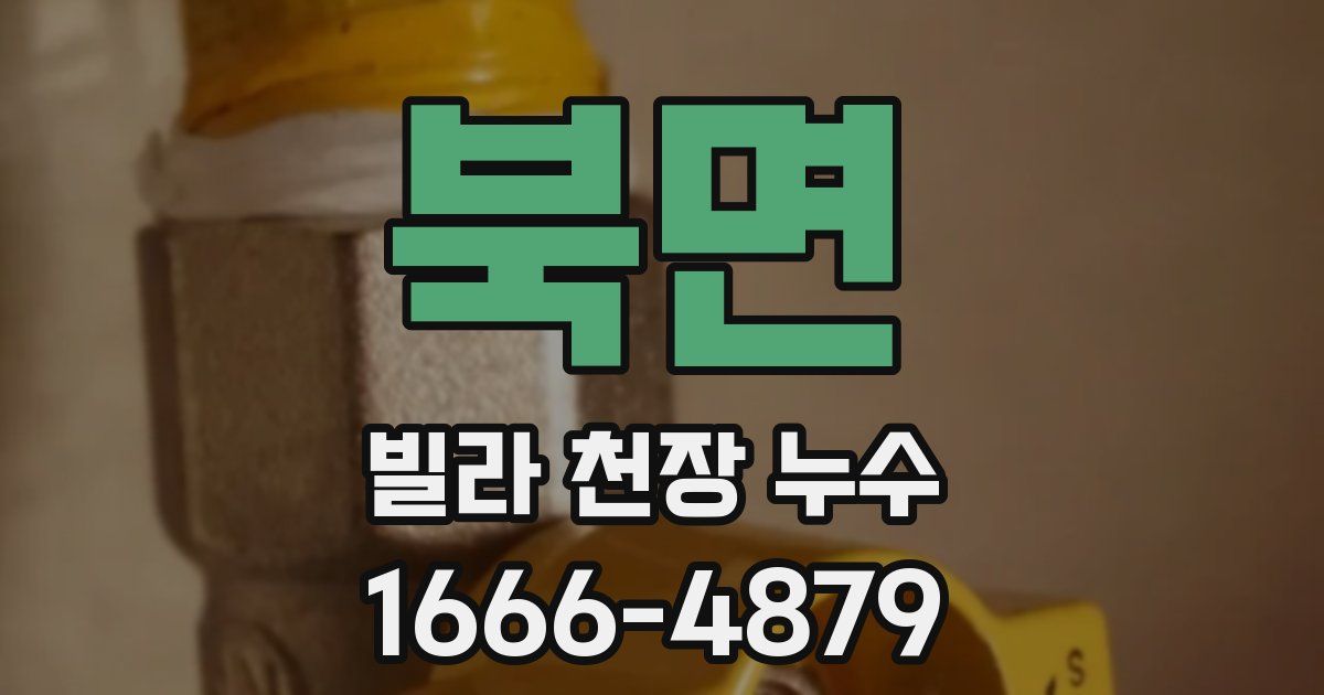 북면 빌라 천장 누수