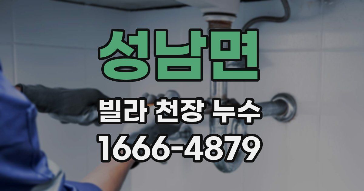 성남면 빌라 천장 누수
