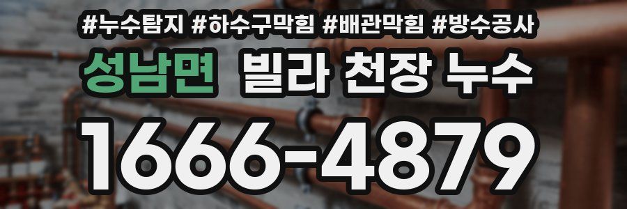 성남면 빌라 천장 누수